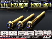 M6×12mm ステンレス 2色ヘキサゴンヘッドボルト 六角ボルト クランクケース等エンジン周りに ゴールド/焼チタンカラー TB0784_画像1