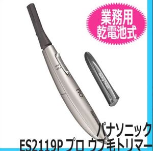 パナソニックES2119
