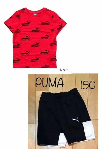 PUMA プーマ　上下セット　150