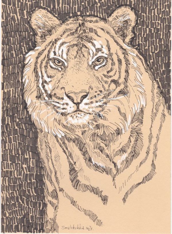 ☆Original illustration by Anna Smarschuk Tiger III, Artwork, Painting, Pencil drawing, Charcoal drawing