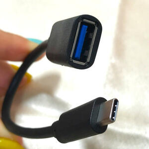 USB-A メス USB-C オス ケーブル コード 線 ブラック 未使用　変換アダプタ　PC関連　黒　短め　雌　雄　コネクタ　アクセサリー