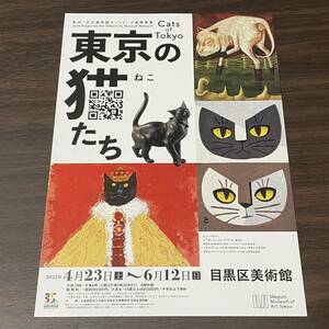 【Cats of Tokyo 東京の猫たち】目黒区美術館 2022 展覧会チラシ