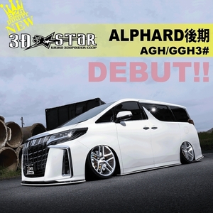 326POWER 3D☆STAR 30アルファード/ALPHRD 後期(エアログレード用) AGH/GGH# リアアンダースポイラー