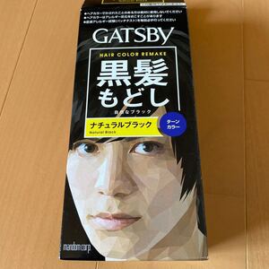 GATSBY 黒髪もどし ナチュラルブラック 未使用 箱開封のみ ターンカラー