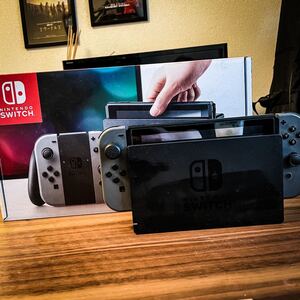 Nintendo Switch SWITCH グレー 本体 スイッチ
