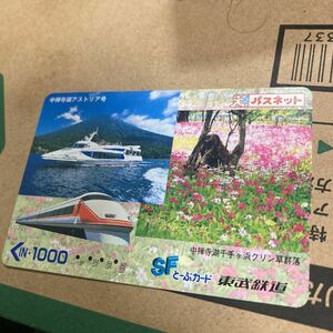 使用済み東武鉄道スペーシア100系中禅寺湖日光