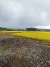 秋田県北秋田市産 令和3年ひとめぼれ 自家精米20キロ (A_画像1