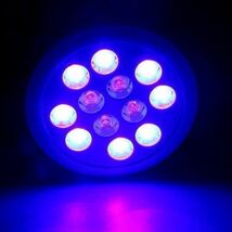 LED アクアリウムライト 24W 水槽照明 青8 紫外線4 水草 観賞魚 植物育成 サンゴ 熱帯魚_画像2