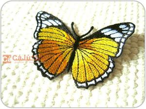 刺繍ワッペン/モンキチョウYE/アゲハ/蝶々/標本