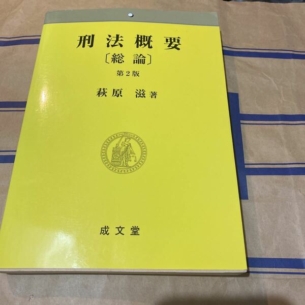 刑法概要 総論　書き込み無し