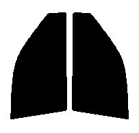 ダークスモーク　13％ 2層構造フィルム　運転席・助手席　オプティ 5ドア L3##　カット済みカーフィルム