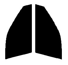 ハーフスモーク　76％ 運転席、助手席　ランサーエボリューション5 CP9　カット済みフィルム