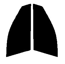スモーク　２６％　2層構造フィルム　運転席・助手席　インスパイア　UA4・UA5　カット済みカーフィルム　