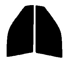 ダークスモーク　１３％　2層構造フィルム　運転席・助手席　インスパイア　UA1・UA2・UA3　カット済みカーフィルム　