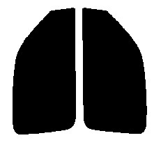 ファインゴースト オーロラ87　運転席、助手席　マーチ　K11　３ドア　カット済