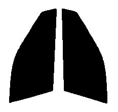 スモーク　２６％　運転席、助手席　トルネオ CF　カット済みフィルム　国産