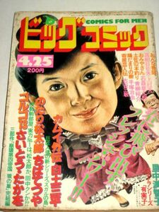 ビッグコミック 1982 手塚理美(表紙 日暮修一)/ 有実子 里中満智子/ ちばてつや さいとうたかを 白土三平 手塚治虫 小島功 上村一夫 他