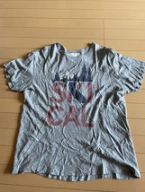 ★TAILGATE VINTAGE Tシャツ SKI CAL スキー カリフォルニア メンズ M 日本人サイズL XL テイルゲートヴィンテージ テールゲート_画像1