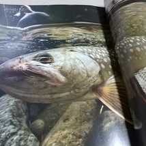 フライフィッシャー FlyFisher 2011年7月号 No.210 ※雑誌本体のみ(付録等無) 雑誌 中古 Fly Fisher Flyfishing Magazine つり人社_画像5