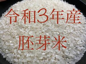 岡山県産 令和3年産胚芽米 5キロ