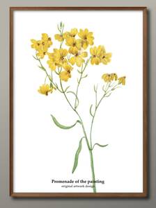 Art hand Auction 1-7680 ■ Livraison gratuite !! Affiche A3 Fleur Plante Botanique Fleur Scandinave/Coréen/Peinture/Illustration/Mat/Limité à notre magasin, résidence, intérieur, autres
