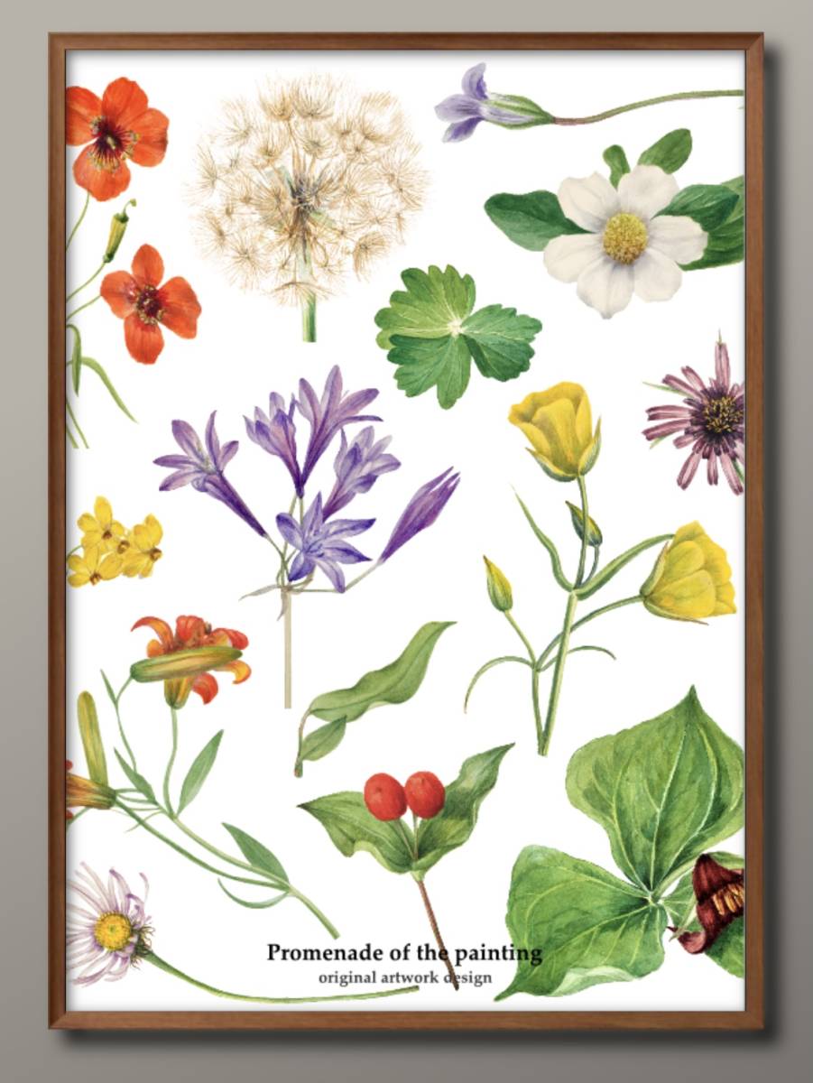 1-7683 ■ Kostenloser Versand!! A3 Poster Blumen, Pflanzen, Botanische Blumen Nordisch/Koreanisch/Malerei/Illustration/Matt/Exklusiv in unserem Shop, Gehäuse, Innere, Andere