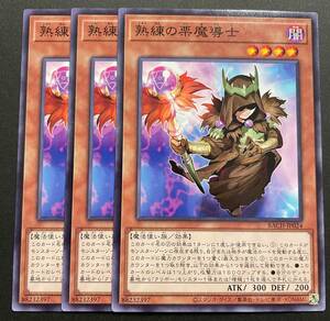 遊戯王 熟練の栗魔導士 ノーマル 3枚 BACH-JP024　パック開封品