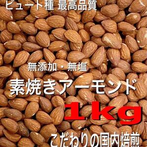 ビュート種最高品質 無添加・無塩 素焼きアーモンド 1kg 検索用 ミックスナッツ