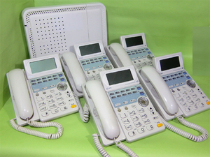 【超簡単接続】NTT製ビジネスホン「５台セット」　ひかり電話基本プラン、ひかり電話エース対応　お客様ご自身での簡単設置対応です。