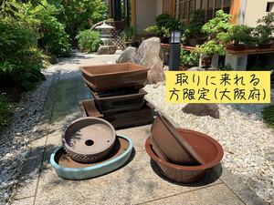 取りにこれる方限定(大阪府) 特売品　盆栽鉢7点セット　合計約10万円の品