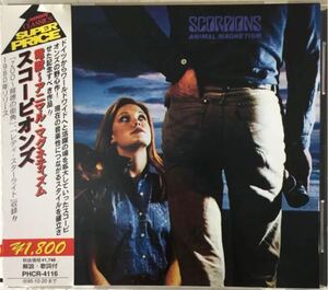 帯にミスプリントあり！Scorpions/ Animal Magnetism