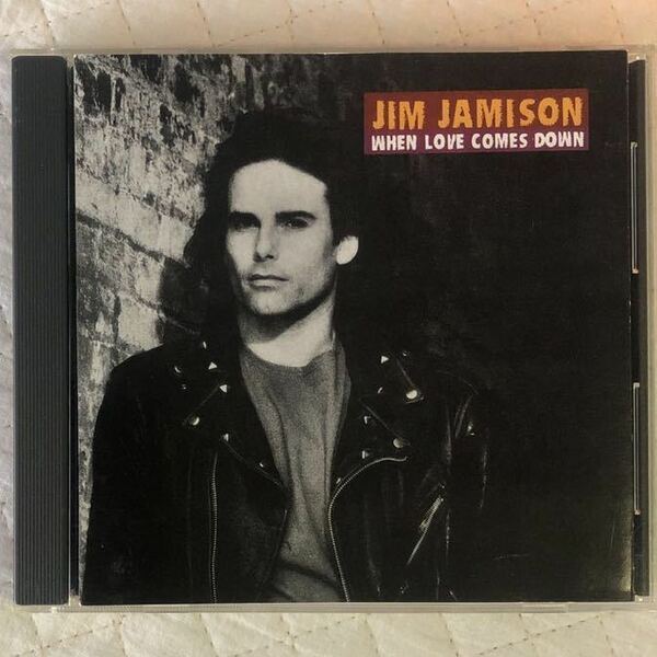 JIM JAMISON/ WHEN LOVE COMES DOWN/ 1991年