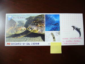 新江ノ島水族館 ご招待券１枚　（出品個数2）