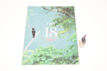 週刊　日本の天然記念物１８号　クマゲラ　フィギュア　冊子　海洋堂_画像1