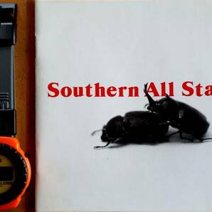 ☆即決！サザンオールスターズ：SOUTHERN ALL STARS ☆初回限定スペシャルパッケージ！CD