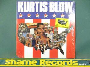 Kurtis Blow ： America LP // AJ Meets Davy DMX / Hello Baby / 5点で送料無料