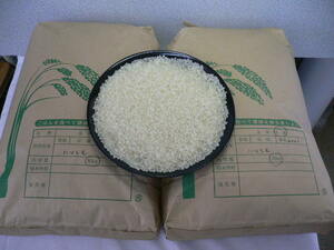 4ha25 令和3年岐阜県産 お米 白米 ハツシモ　20kg(10kgx2) 精米 送料込み