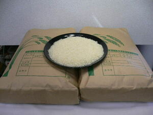 4hi23 令和3年岐阜県産 お米 白米 ひとめぼれ 20kg(10kgx2) 精米 送料込み