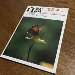 送料込☆科学雑誌 自然 '82-4 特大号☆中央公論社