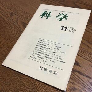 科学 11 1985 VOL.55 NO.11 国土を見直す 他☆岩波書店