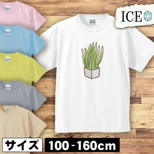 観葉植物 キッズ 半袖 Tシャツ 男の子 女の子 ボーイズ ガールズ プリント 綿 おもしろ 面白い ゆるい トップス ジュニア かわいい100 110