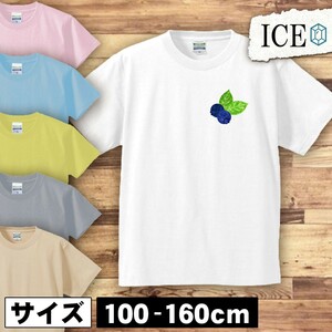 ブルーベリー キッズ 半袖 Tシャツ 男の子 女の子 ボーイズ ガールズ プリント 綿 おもしろ 面白い ゆるい トップス ジュニア かわいい100