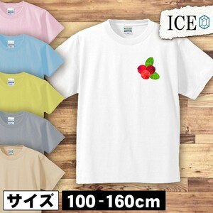 クランベリー キッズ 半袖 Tシャツ 男の子 女の子 ボーイズ ガールズ プリント 綿 おもしろ 面白い ゆるい トップス ジュニア かわいい100