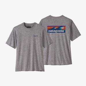 ★新作★ patagonia パタゴニア キャプリーン クール デイリー グラフィック シャツ BOLF Lサイズ 正規品