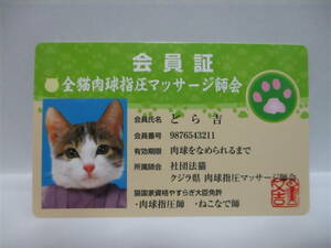 ★ なめ猫 全猫肉球指圧マッサージ師会 会員証 どら吉 新品 即決 なめんなよ ★ なめ猫同梱検索