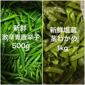 新鮮塩蔵茎わかめ1kgと新鮮生激辛青唐辛子300g
