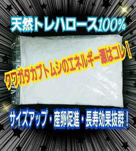 クワガタ・カブトムシの栄養源はコレ！天然トレハロース粉末☆マットや菌糸、ゼリーに混ぜるだけ！サイズアップ、産卵数アップ、長寿効果！