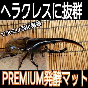 雑虫、コバエも湧かない！進化した！プレミアム3次発酵カブトムシマット☆微粒子・特殊アミノ酸など栄養添加剤を３倍配合☆デカクなります