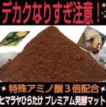 雑虫、コバエも湧かない！進化した！プレミアム3次発酵カブトムシマット☆微粒子・特殊アミノ酸など栄養添加剤を３倍配合☆デカクなります_画像7