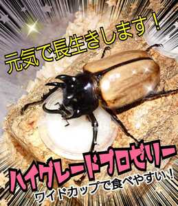 極上ハイグレードプロゼリー【200個】特殊アミノ酸強化配合！産卵促進・長寿・体力増進に抜群☆オスも食べやすいワイドカップ　昆虫ゼリー